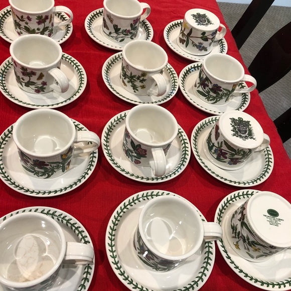 The Botanic Garden cup and saucer - Picture 5 of 12